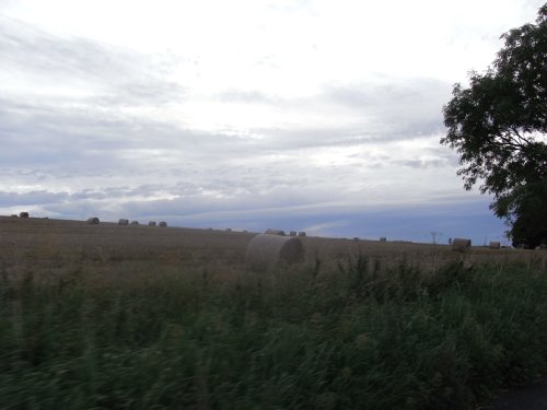Field bales