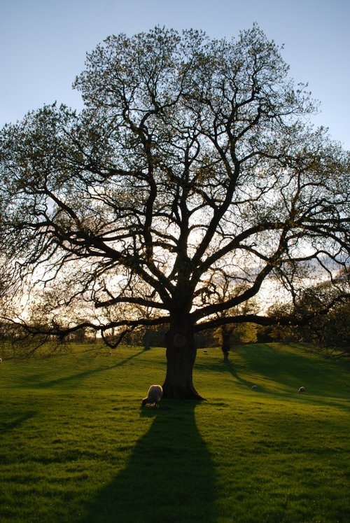Capernwray Bible School