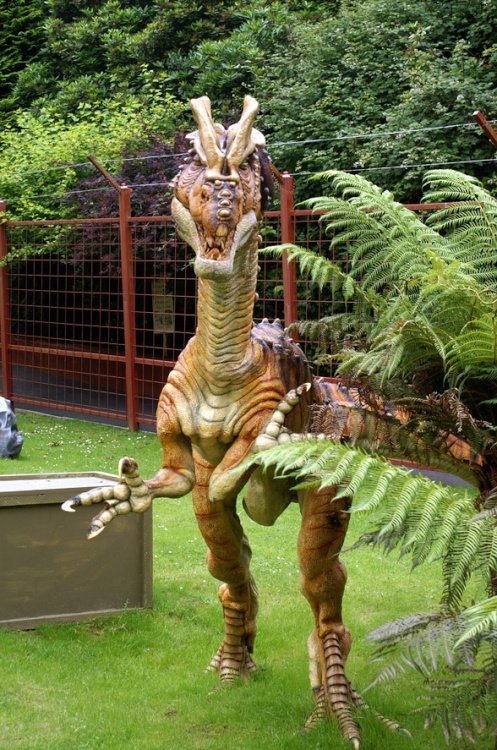 Look out, he's seen you.