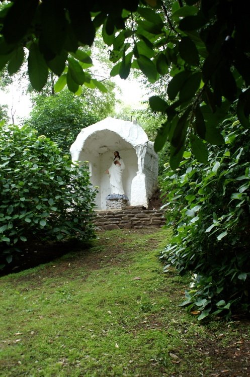 Seen along the path.