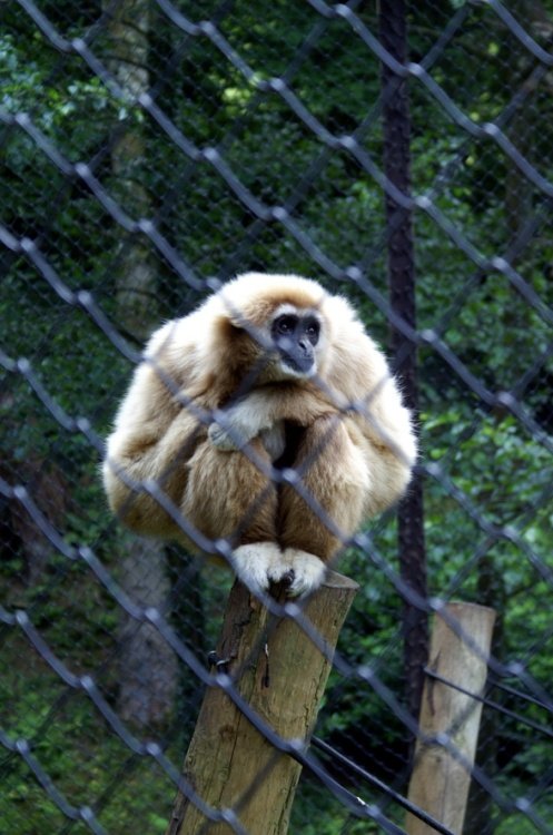 Why do they keep staring at me?