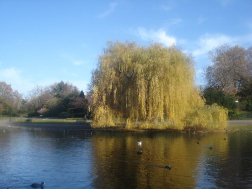 Regent's Park