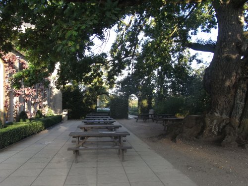 A bench in the shade