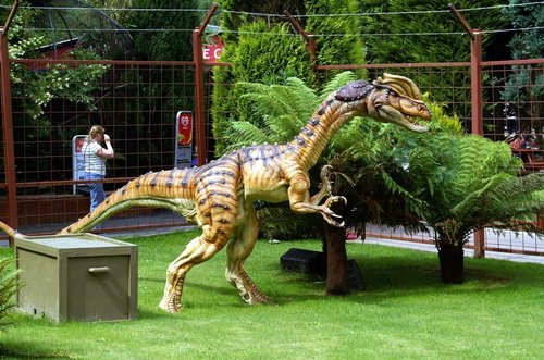 He's looking for dinner.