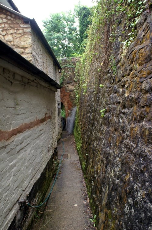 This way to the outside Loo.