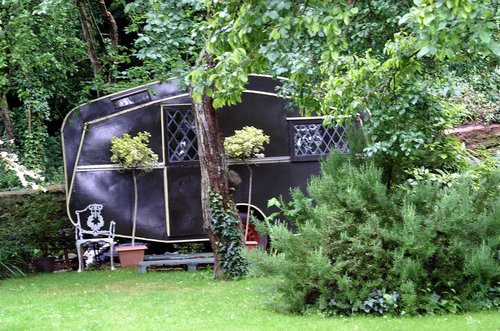 Spotted in the trees.