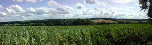 Chess Valley, Little Chalfont