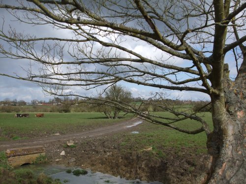 Looking towards Braunston from Wolfhampcote Church