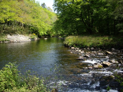 Spitchwick, Dartmoor.