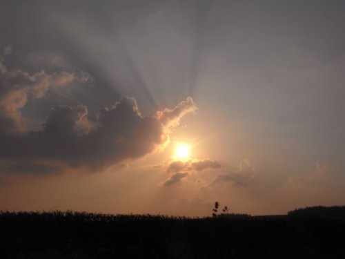A wiltshire evening sky