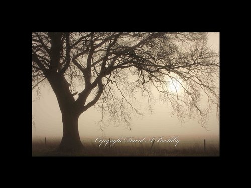 Misty morning near South Cave