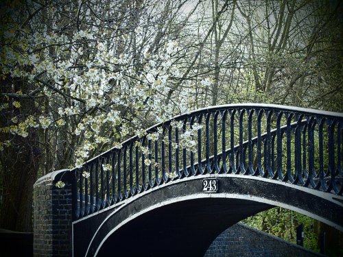 Bridge over the Oxford Canal at Isis Lock, Oxford.