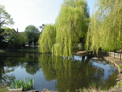 The duck pond Ruislip