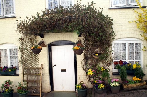 The garden may not be big but it is nice.