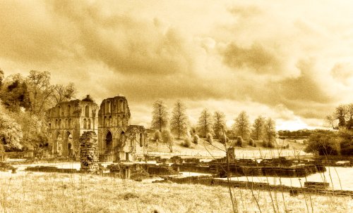 Roche Abbey South Yorkshire
