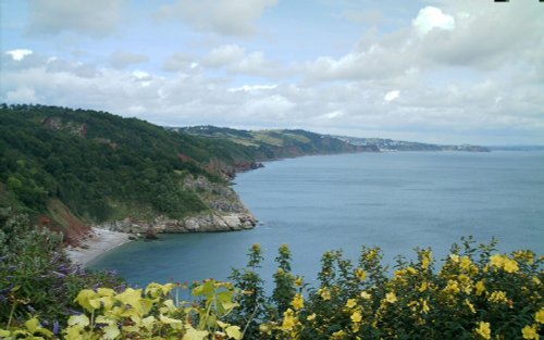 Along the Coast from Babbacombe.