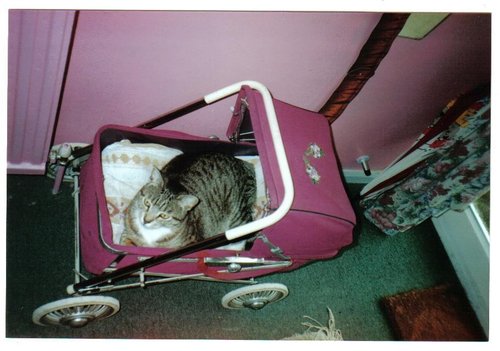 A picture of Kings Worthy