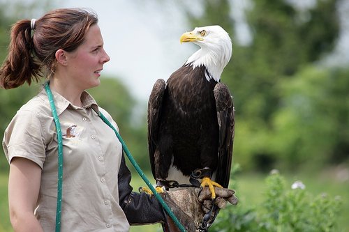 The Hawk Conservancy, Weyhill, Hampshire