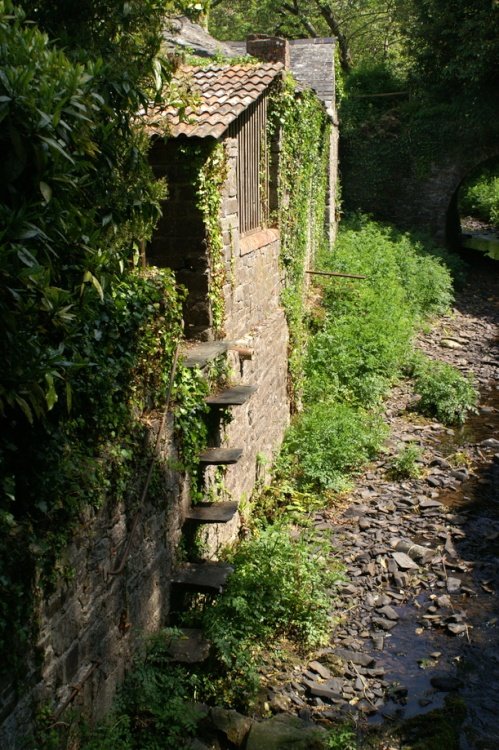 The steps in the wall.