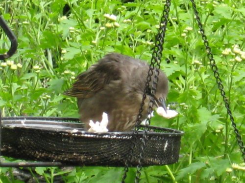 A picture of Kings Worthy