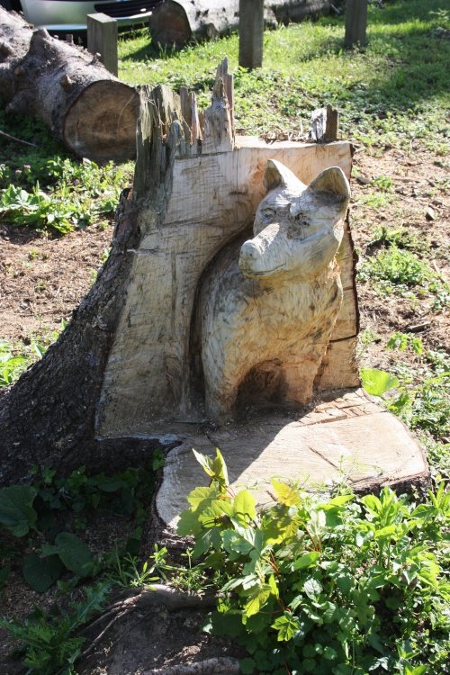 At Whitlingham Country Park