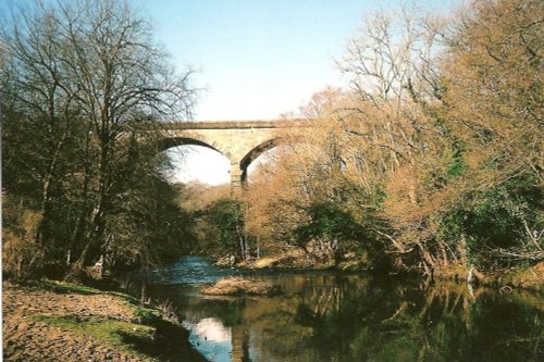 Nine Arches Viaduct. Rowlands Gill