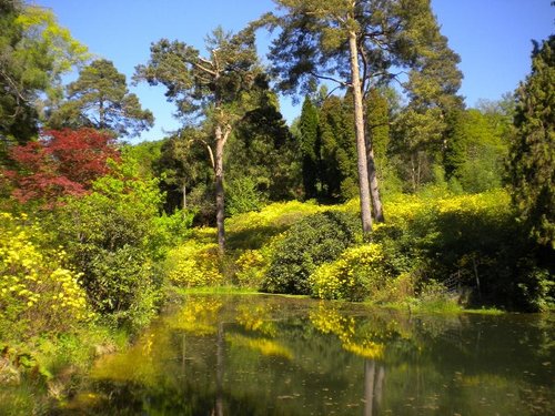 Leonardslee Lakes and Gardens