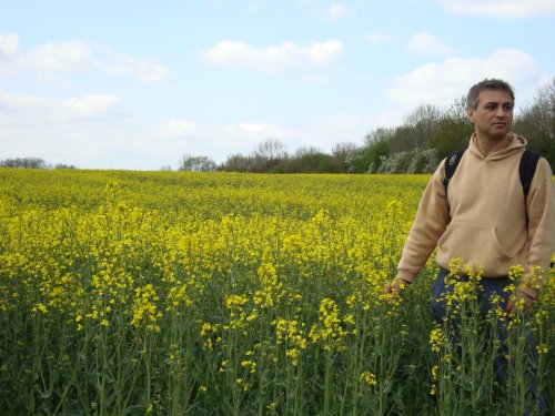 Fields outside Bourton on the water