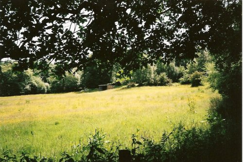 Meadow above Lintzford
