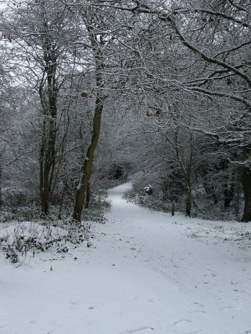 Saltwells Nature Reserve
