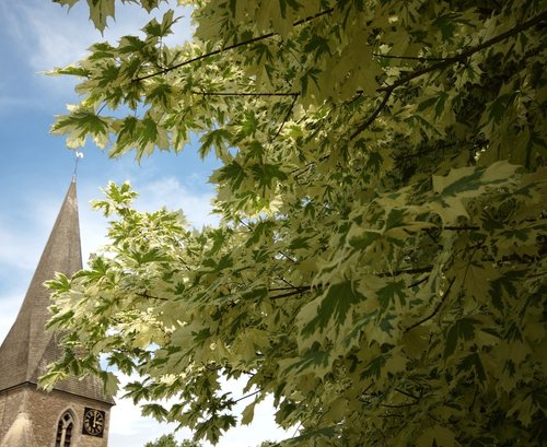 St. George's Church, Evenley, Northants.