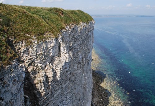 Bempton Cliffs