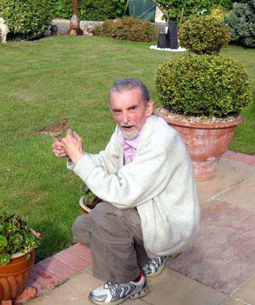 The Mistlethrush that made friends.