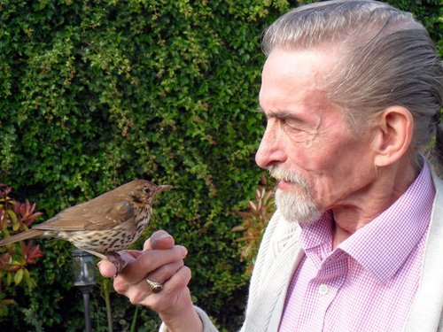 My mate the Mistlethrush.