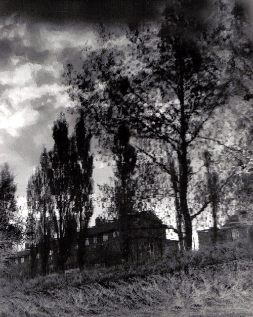 Can you see what it is yet?