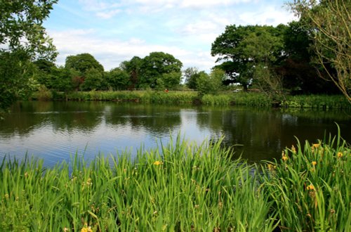 Summer on the Lake at Nidd.