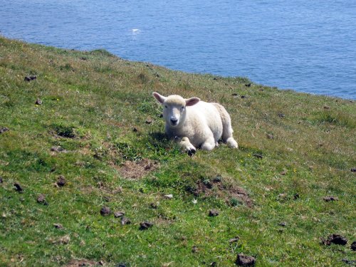 South West Coast path from Morte Point to Woolacoombe