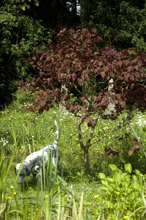 Another Lifelike Statue