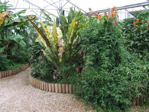 Wye Valley Butterfly Zoo