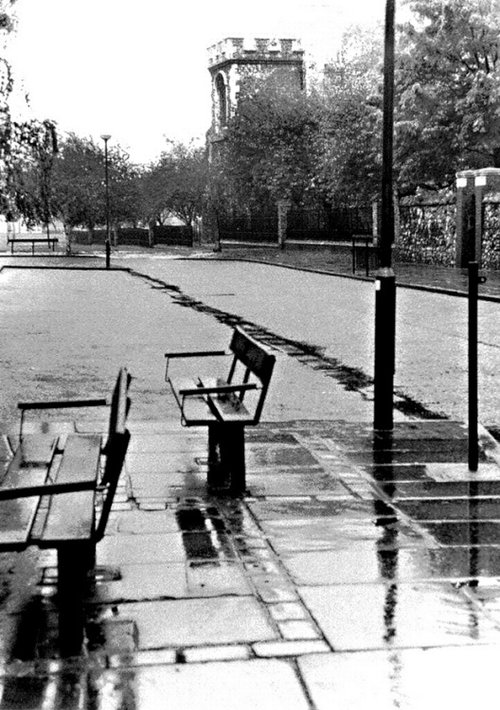 Barking in the rain.