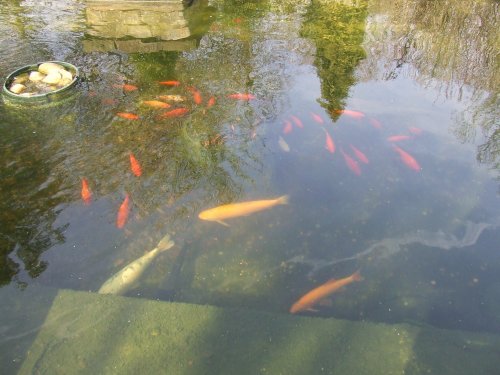 Colchester Castle Park