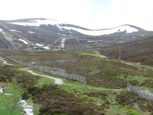 Cairngorms