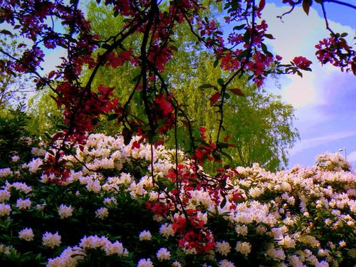 A view from the park