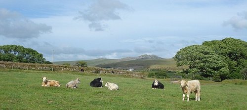 St Breward towards Rough Tor