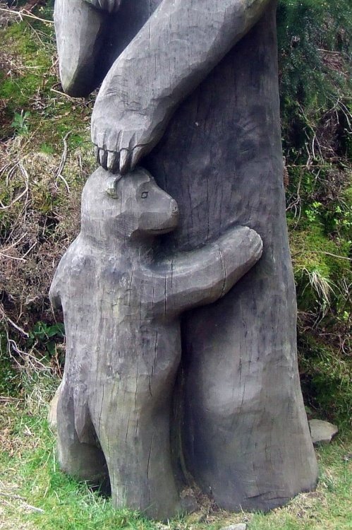 Cwmcarn Forest Drive