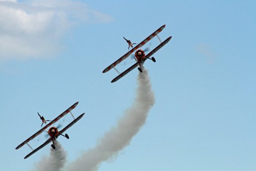 Display team
