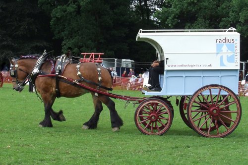 Abergavenny Shire Horse Show