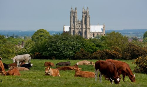 Beverly Minster from the Westwood