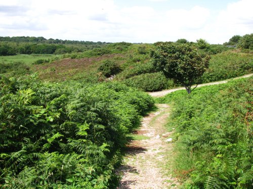 Dunwich Heath