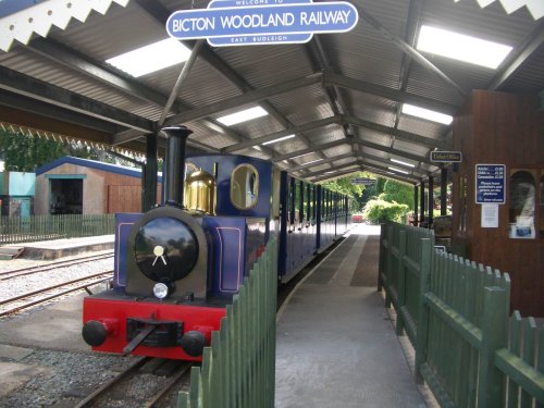 Bicton Park Botanical Gardens in Budleigh Salterton